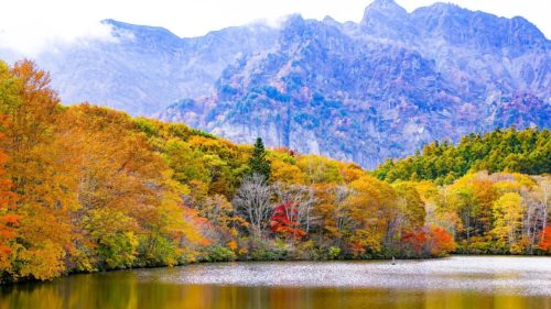 長野県のクライミング施設「長野県山岳総合センター ボルダリング壁」